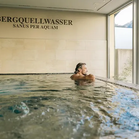 Hotel Goldener Ochs 4*