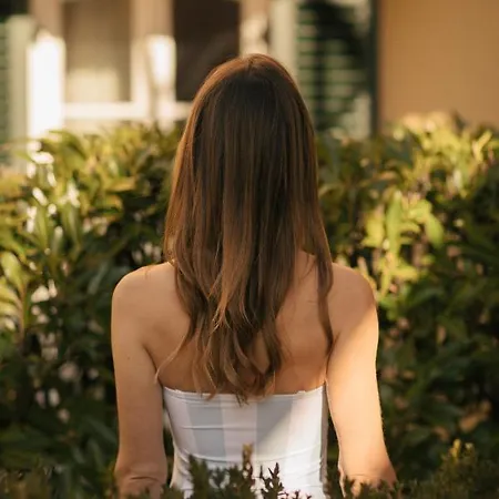 Hotel Goldener Ochs 4*