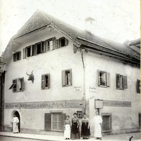 Goldener Ochs