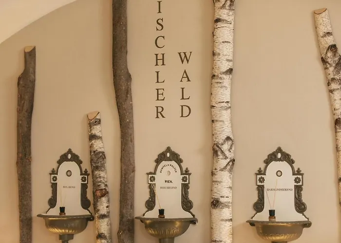 Goldener Ochs فندق 4*