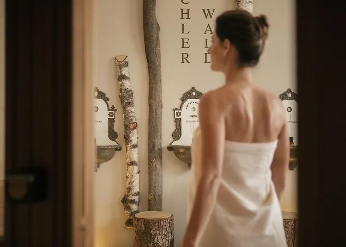 Goldener Ochs 4* باد اسشي