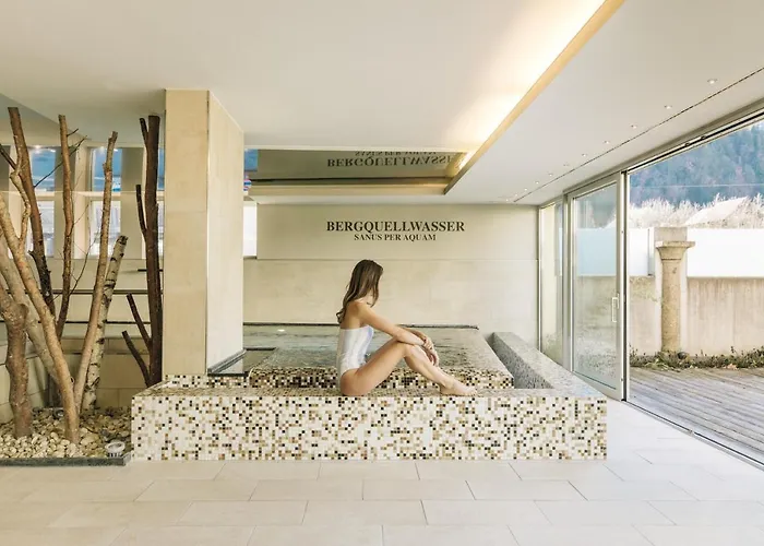 Hotel Goldener Ochs 4*