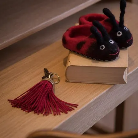 贡德耐奥克斯酒店 巴德伊舍