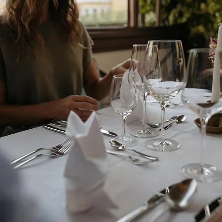 贡德耐奥克斯酒店 酒店 巴德伊舍